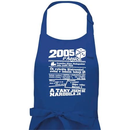 2005 v kostce