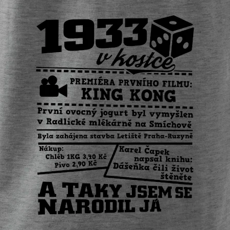 1933 v kostce