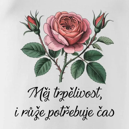 Měj trpělivost, i růže potřebuje čas