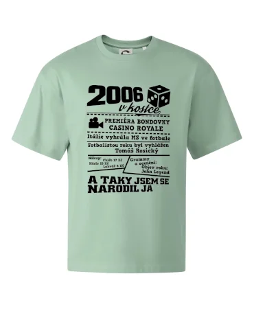 2006 v kostce