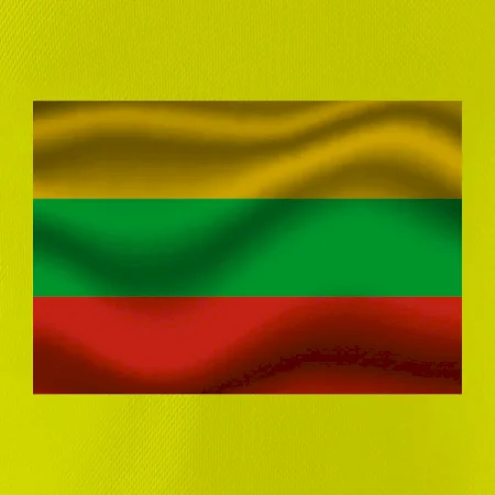 Litva vlajka obdélník