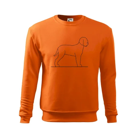 Lagotto romagnolo stojící