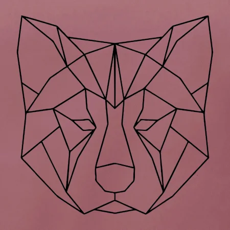 Akita Inu - Geometrie