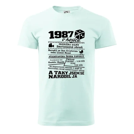1987 v kostce