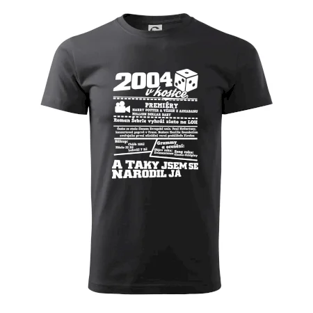 2004 v kostce