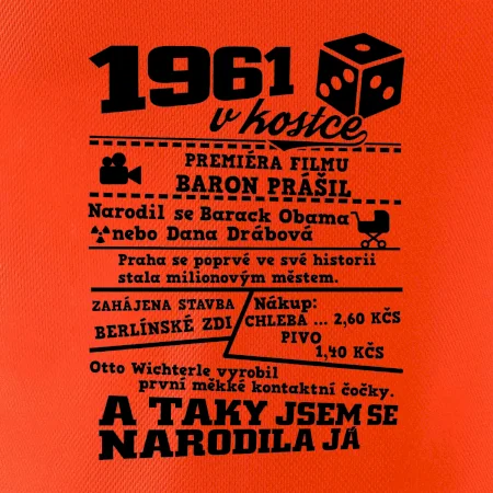 1961 v kostce