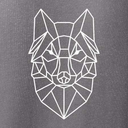 Geometrie - vlk