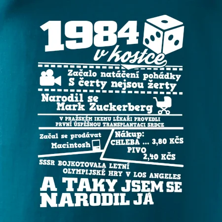 1984 v kostce