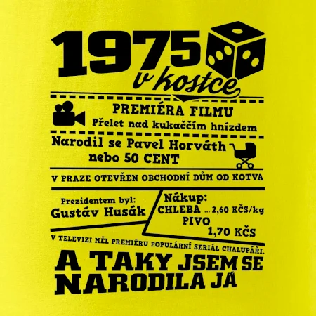 1975 v kostce