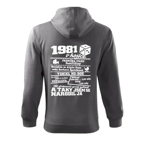 1981 v kostce