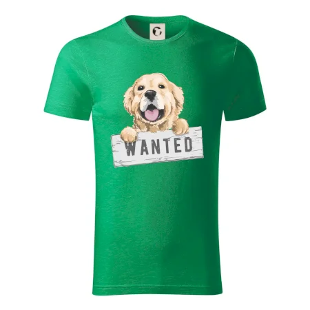 Zlatý retriever - štěně wanted