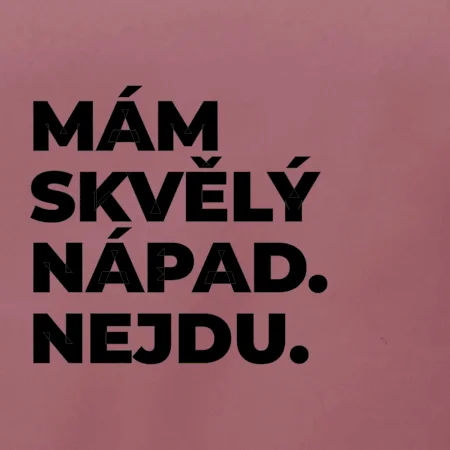 MÁM SKVĚLÝ NÁPAD. NEJDU.