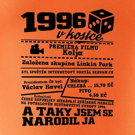 1996 v kostce