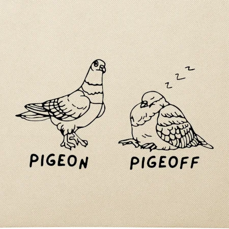 Pigeon pigeoff