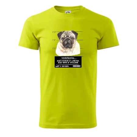 Lump a darebák mopsík