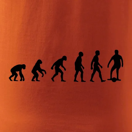 Evoluce onewheel