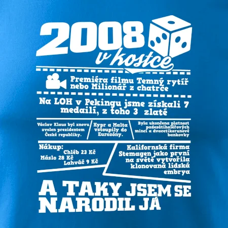 2008 v kostce