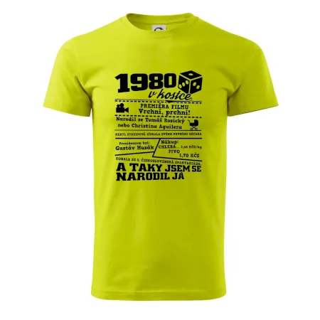 1980 v kostce