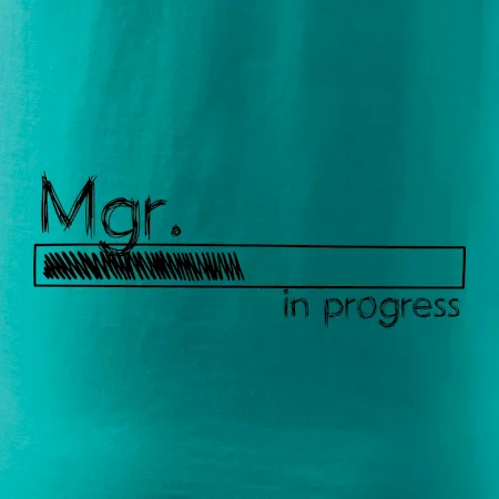 In progress titul Mgr.  magistr / magistra