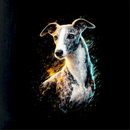Obrázek polotón Španělský galgo