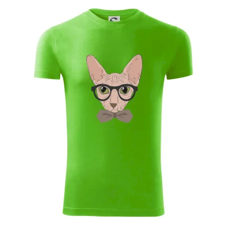 Hipster sphynx