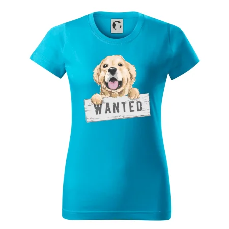 Zlatý retriever - štěně wanted