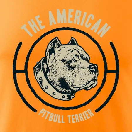 Americký pitbull terier hlava