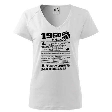 1960 v kostce