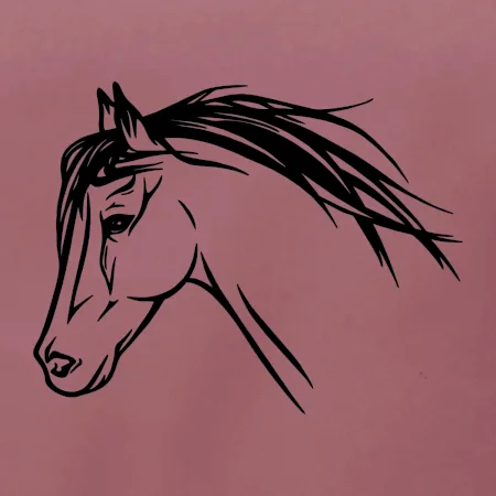 Kůň - hlava celá