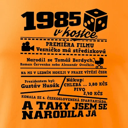 1985 v kostce