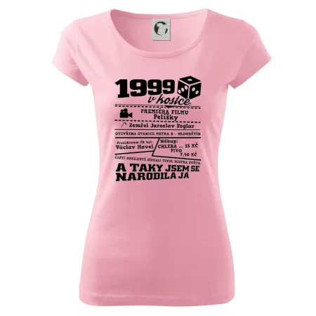 1999 v kostce