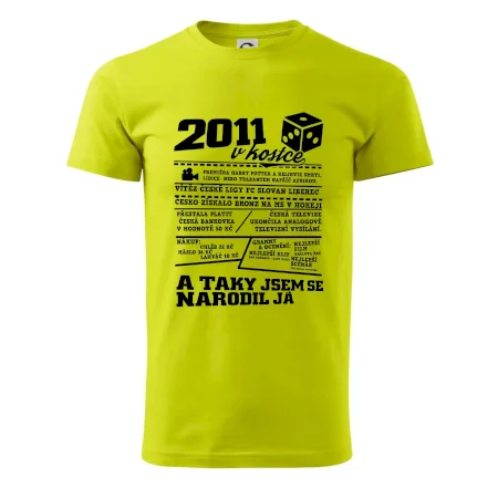 2011 v kostce