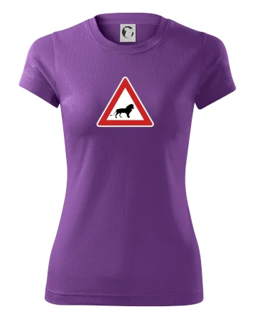 Dopravní značka - Pozor lev