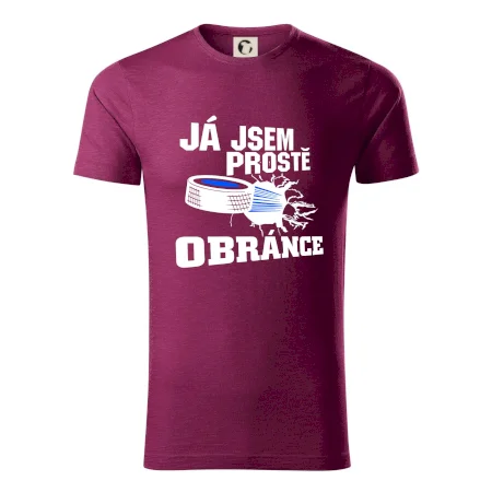 Já jsem prostě obránce (hokej)