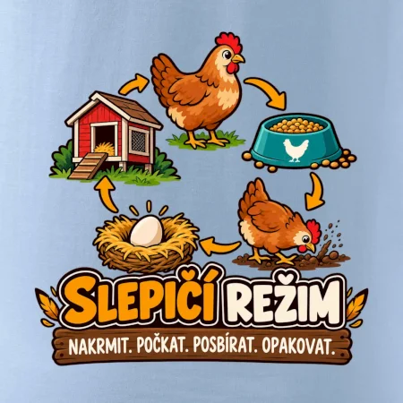 Slepičí režim od krmení po sběr vajec