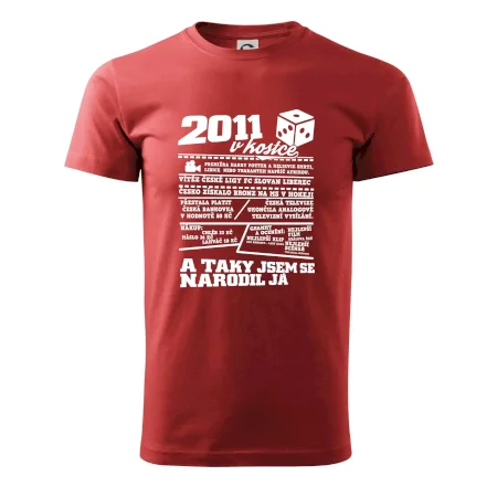 2011 v kostce