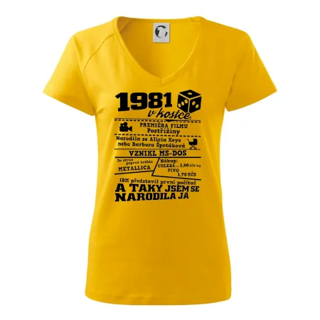 1981 v kostce