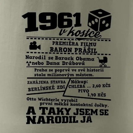 1961 v kostce