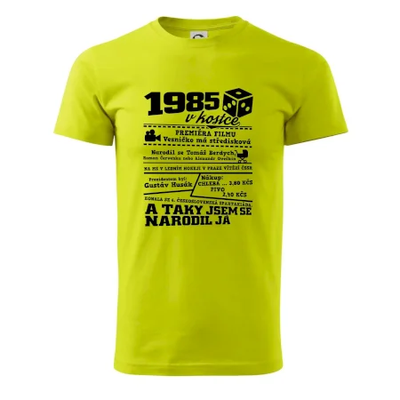 1985 v kostce