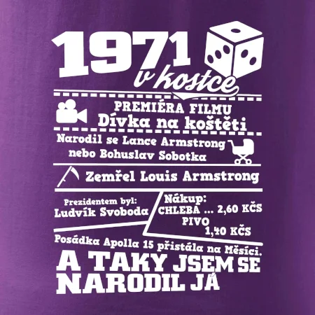 1971 v kostce