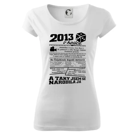 2013 v kostce
