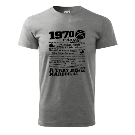 1970 v kostce