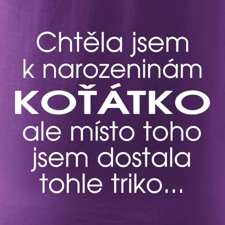 Chtěla jsem dostat k narozeninám koťátko