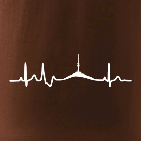 Ekg Jeseníky