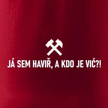 JÁ SEM HAVIŘ, A KDO JE VIĆ?!﻿