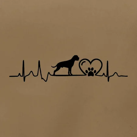 Německý boxer EKG