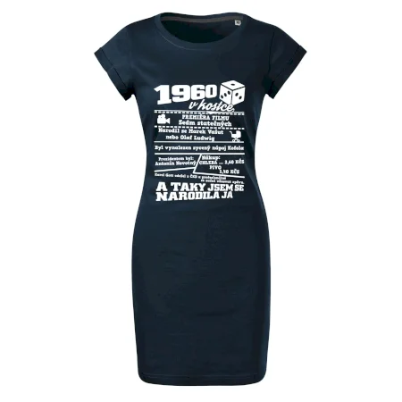 1960 v kostce