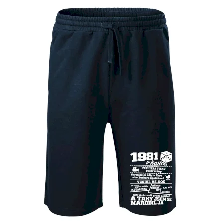 1981 v kostce