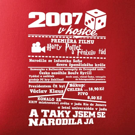 2007 v kostce