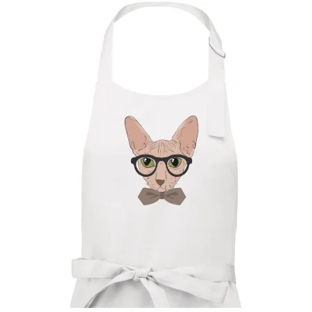Hipster sphynx